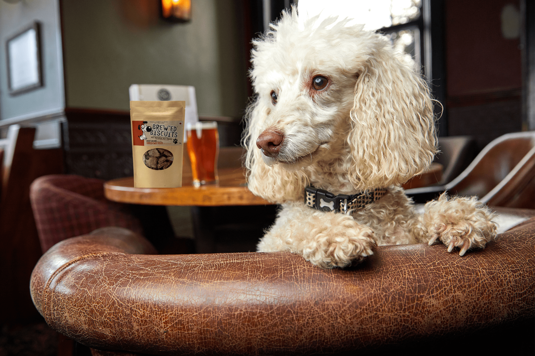 Sweet Potato Two Spent Grains Healthy Dog Treats Two Spent
